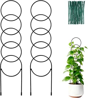 16 Inch Plant Trellis Indoor for Climbing Plants, Metal Small Trellis for Potted Plants, Plant Stakes for Indoor Plants, Plant Support for Hoya Flower Vine, Black 2PCS