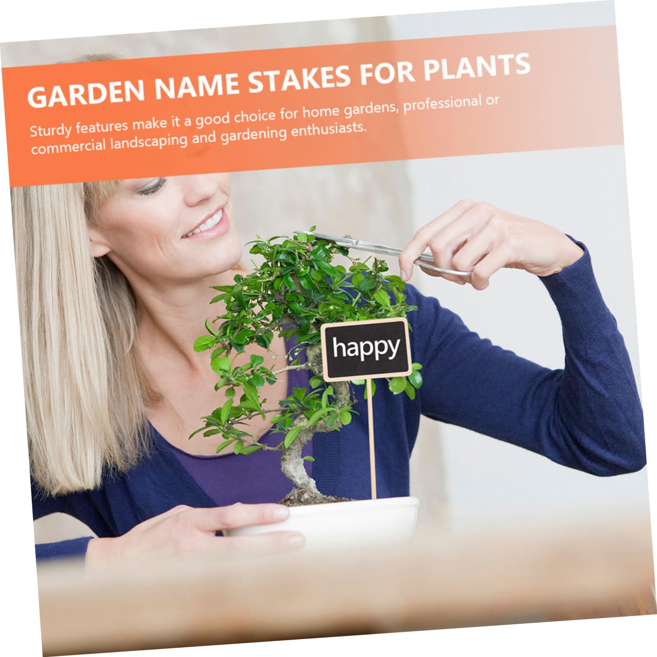 BESTonZON 3 Sätze Pflanzenschilder Etiketten Für Gartenpflanzen Langlebig Für Beschriftung Von Gemüse Und Kräutern Drinnen Und Draußen 20 Stück * 3