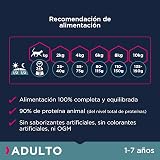 Ver la foto 5