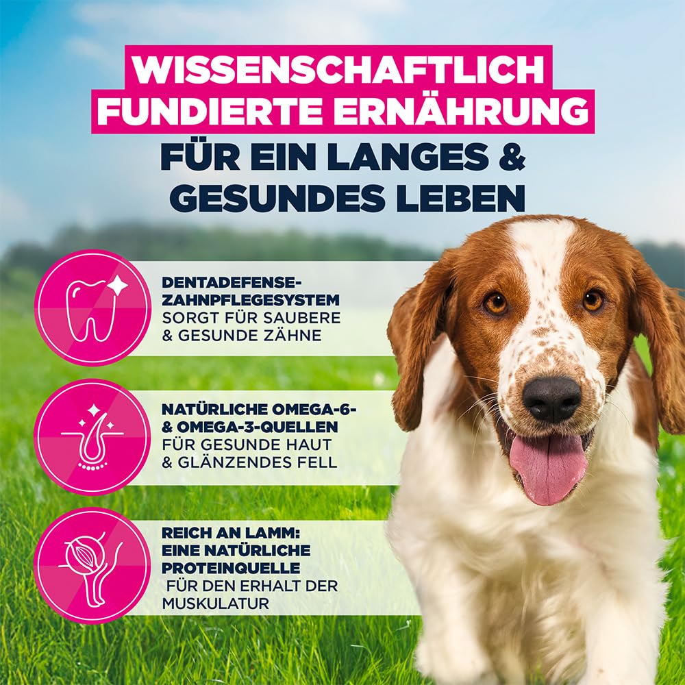 Eukanuba Hundefutter Trocken mit Lachs und Gerste für kleine und mittelgroße Rassen - Premium Trockenfutter für ausgewachsene Hunde, 12 kg