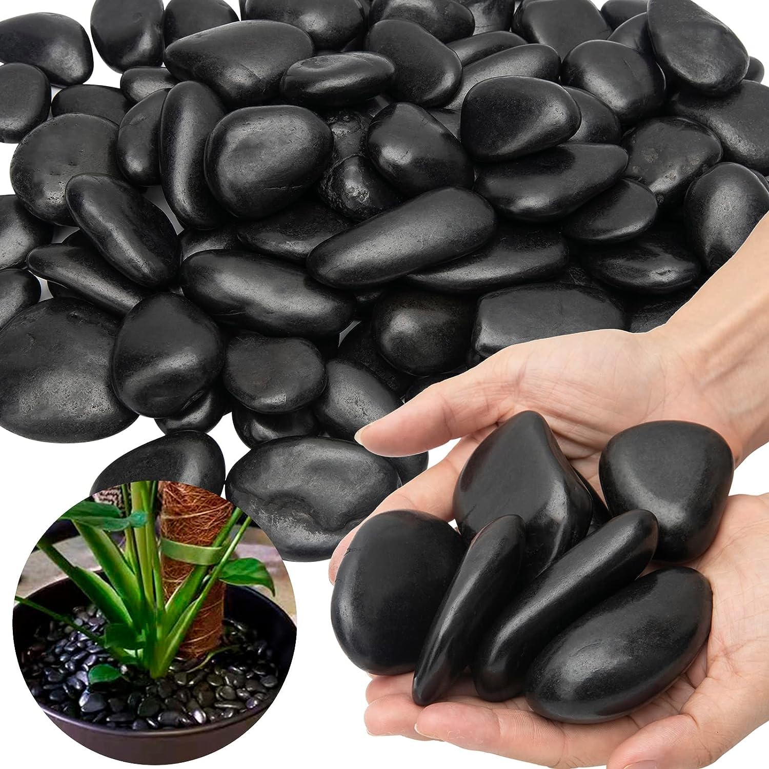 Garden Art Pebbles for Home Decor (5 KG, Black Medium, 1) (B00UY2R1SI) Amazon Price History, Amazon Price Tracker