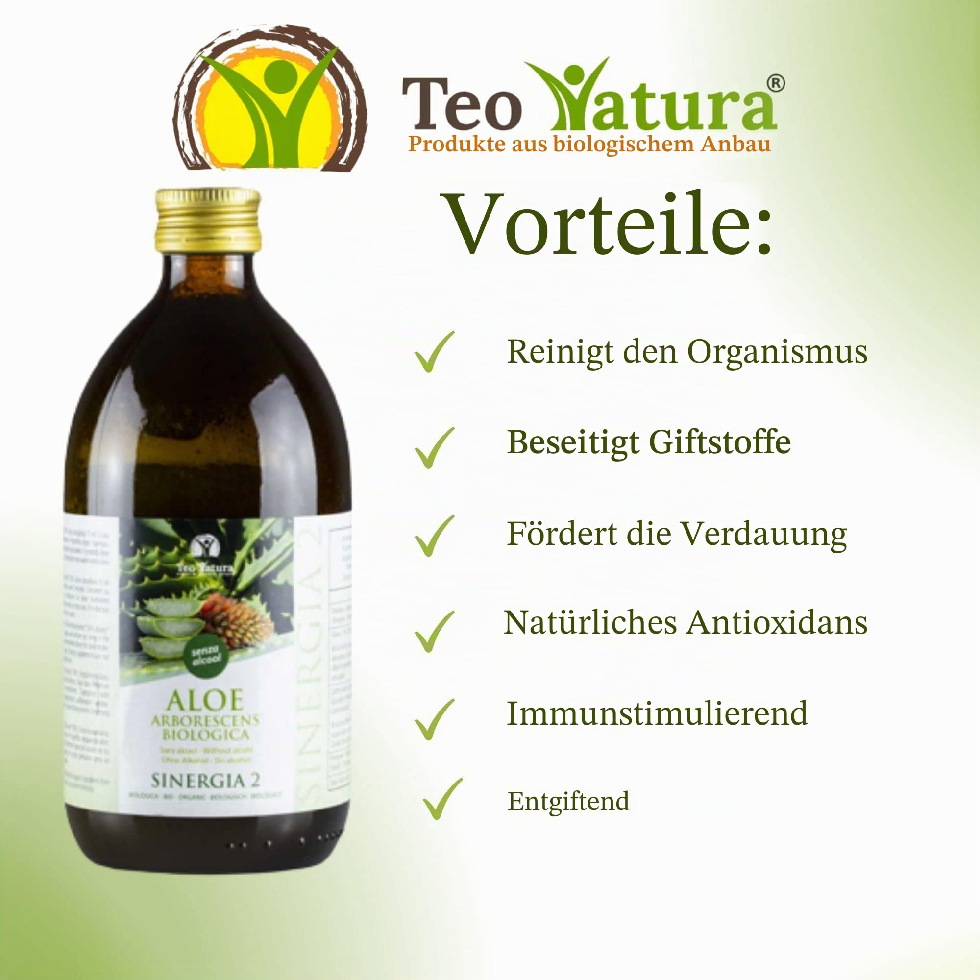 Teo Natura Synergie 2 – Trinkergänzungsmittel – Rezept von Padre Zago (ohne Alkohol) mit Aloe Arborescens und Bio-Honig – 1,5 l (3er-Pack)