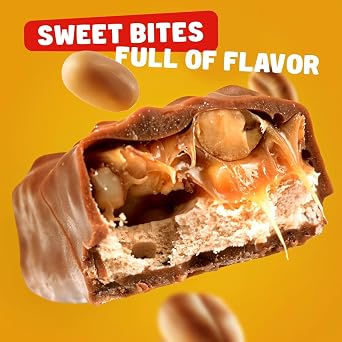 FUN SIZE Chocolate Candy Bars 1 lb Anti Melt Pack, Individually Wrapped (26 Pieces), Bulk, Snack-Size Format, Crunchy Peanuts & Smooth Caramel