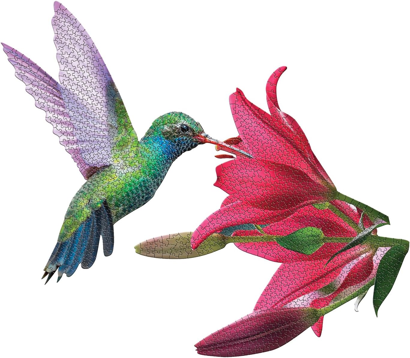 Madd Capp: I Am Hummingbird - 1000 Piece Puzzle - Unique Bird-Shaped Jigsaw, 36x31 Assembled Size, Poster Reference, Edcuational Fun Fact Booklet
