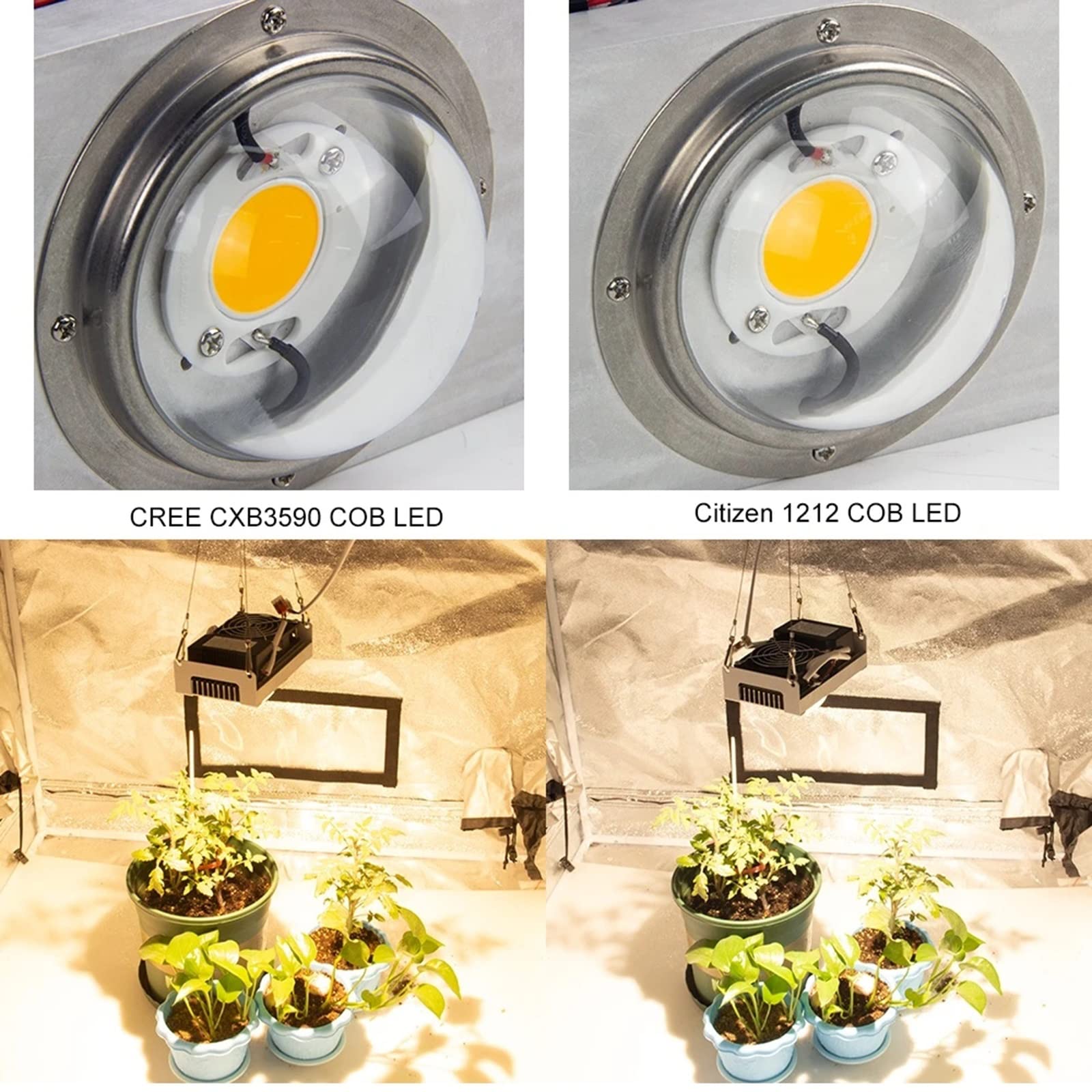 COB CXB3590 LED Grow Light, 3000k -5000K Full Spectrum LED Growing