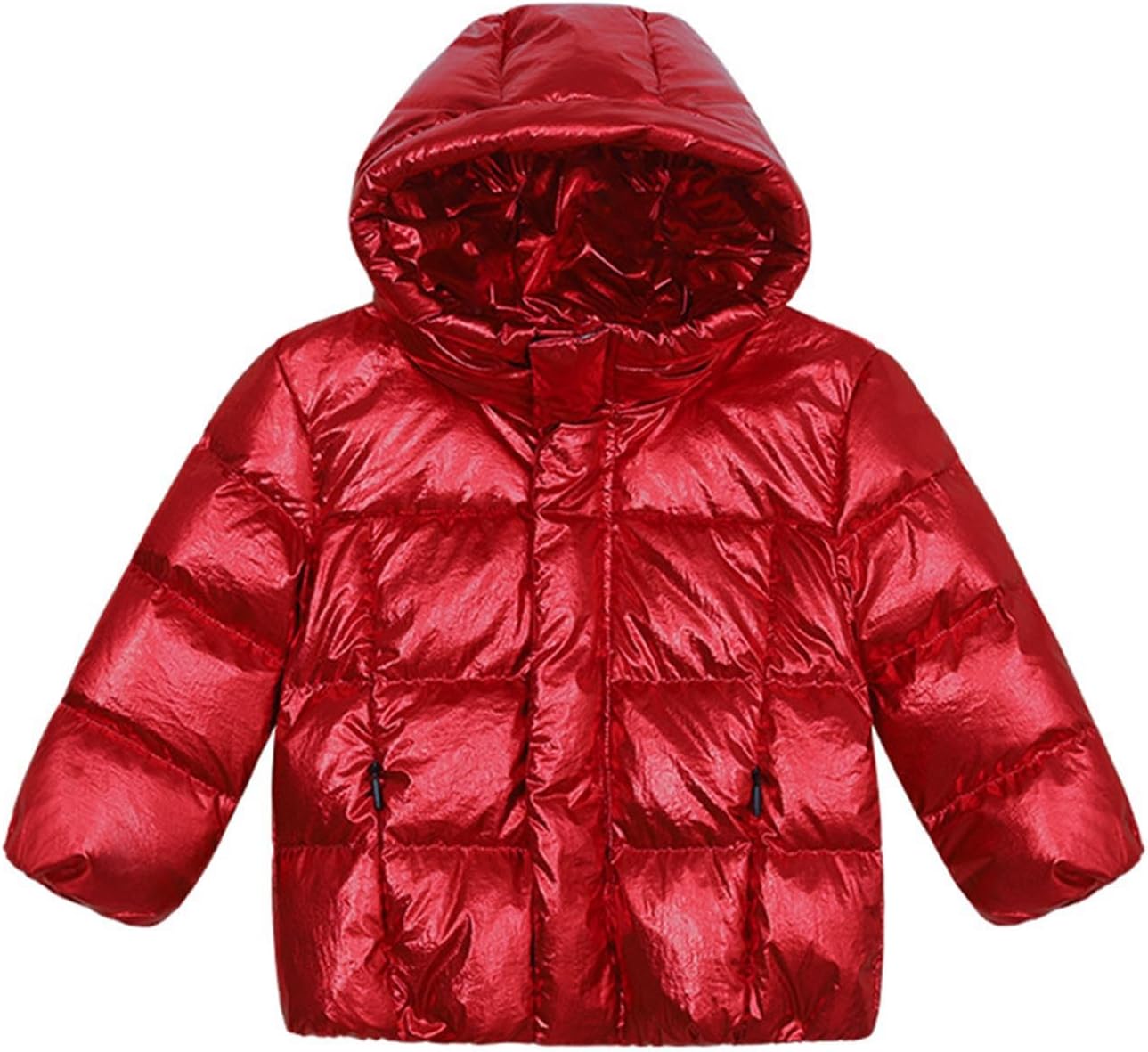 Toddler Boys Girls Shiny Puffer Jacket with Hood, Down Quilted Warm Winter Coats Outerwear for Kids 1-12 Years