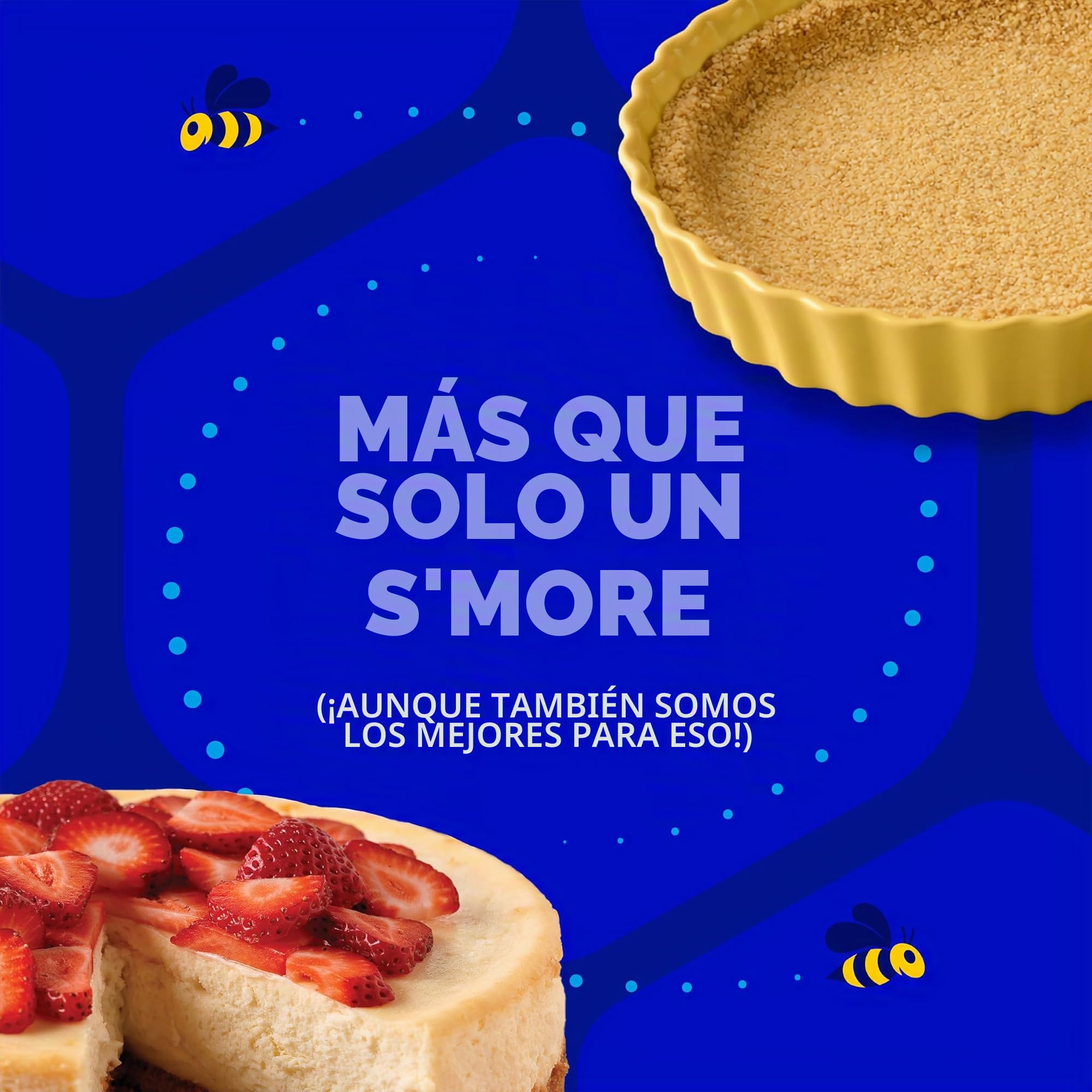 Honey Maid Graham - Galletas tamaño fiesta - 28 onzas (1 libra 13 onzas)