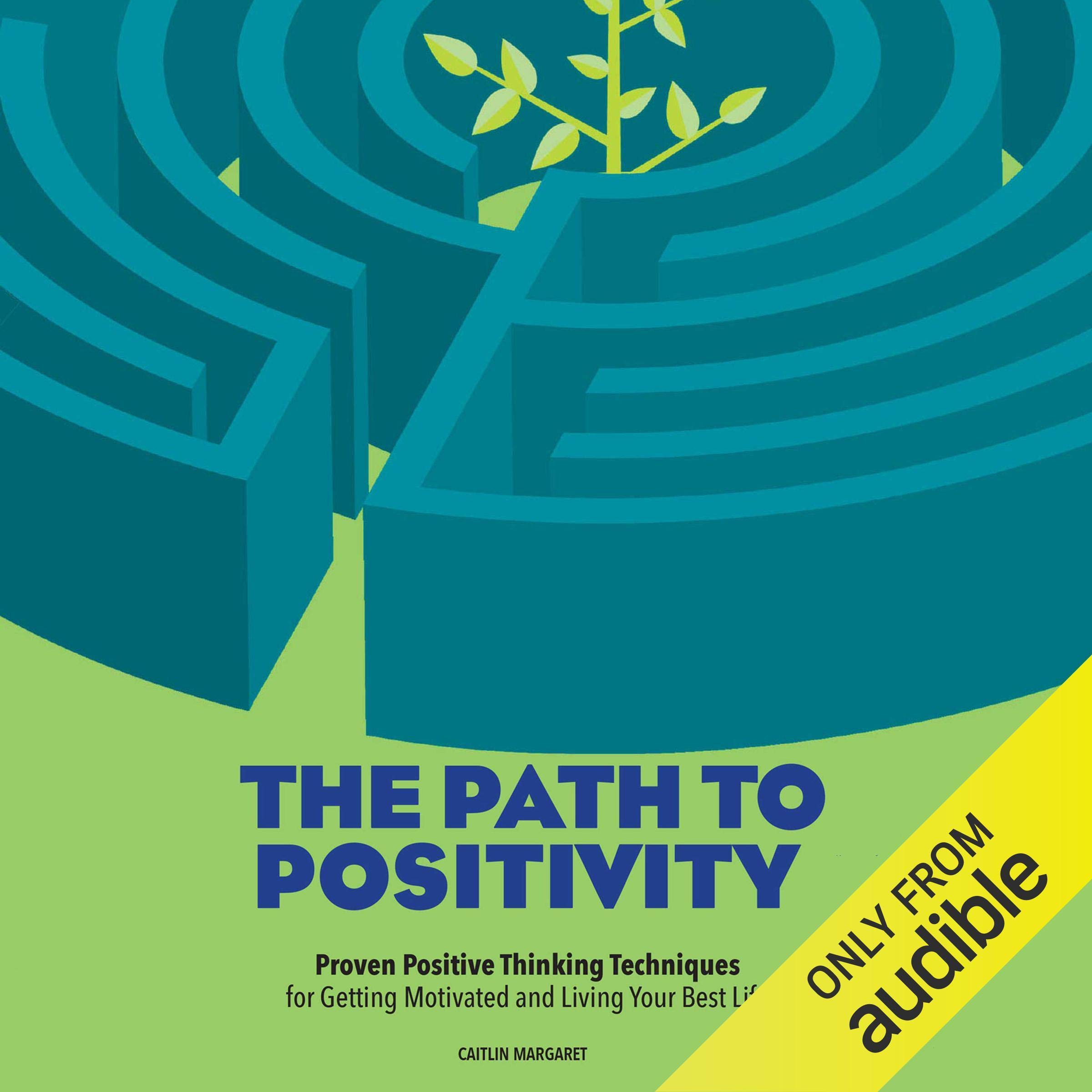 Cover art for The Path to Positivity