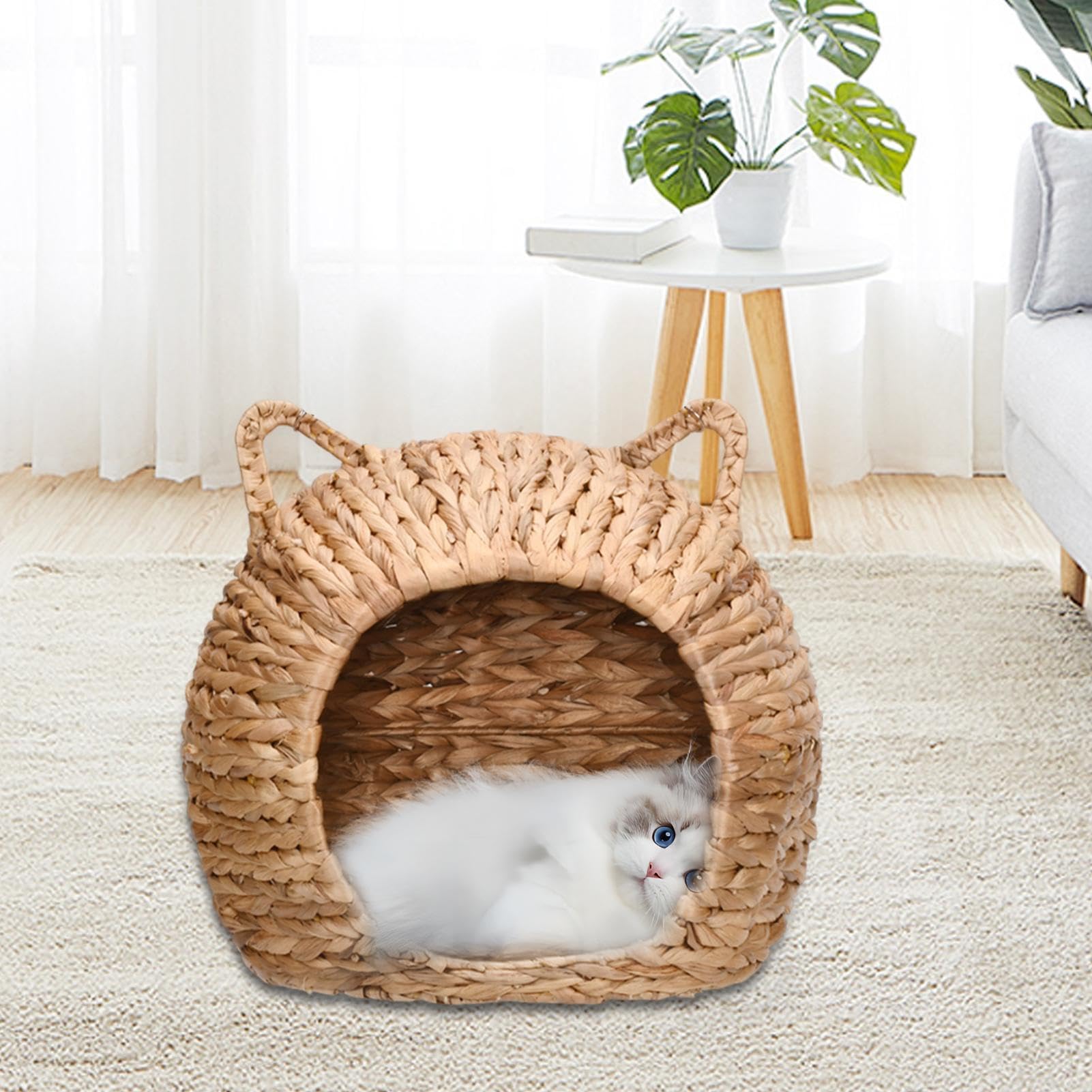 Cuccia per gatti in ,Cuccia per gatti in rattan Cupola per lettino per | Cuccia per gatti sospesa dal design naturale, comfort ecologico e stile, intrecciata a mano sia per uso interno che
