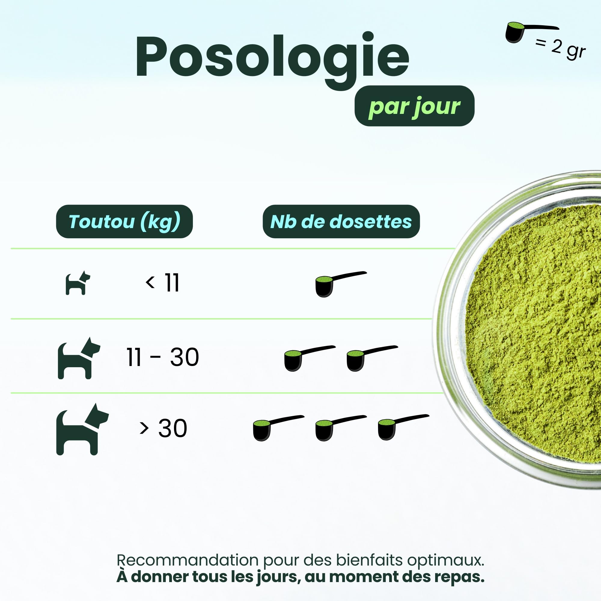 BESTI - Haleine, Dents & Gencives | Poudre Dentaire pour Chiens | Anti-Tartre, Mauvaise Haleine | Pré Post Probiotiques Naturels | Marque Française - Formule Vétérinaire | Eucalyptus | 75 Doses | 150g