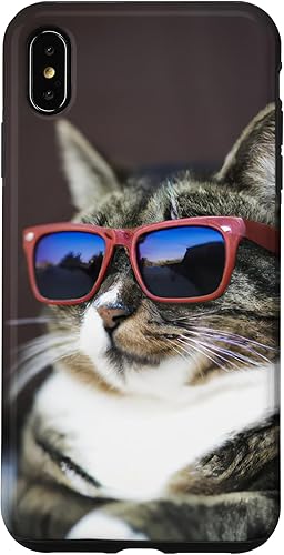 Miniatura 7 de Funda para iPhone 11 Cool Tabby Cat con lentes de sol