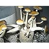 Product Photo 4