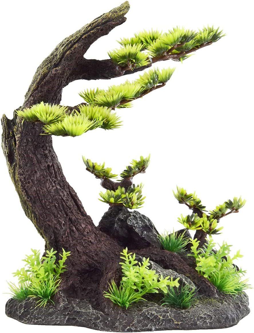 Underwater Treasures Windy Bonsai