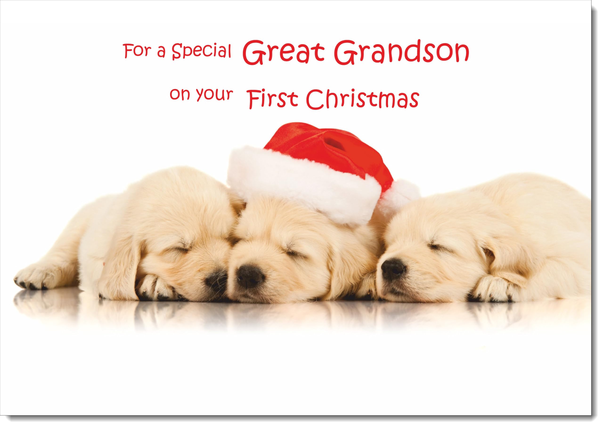 doodlecards Great Grandsons 1st First Christmas Card Puppies with Santa Hat Large A4 Size Christmas Card for Great Grandsons 1st with Plain Envelope — image 1