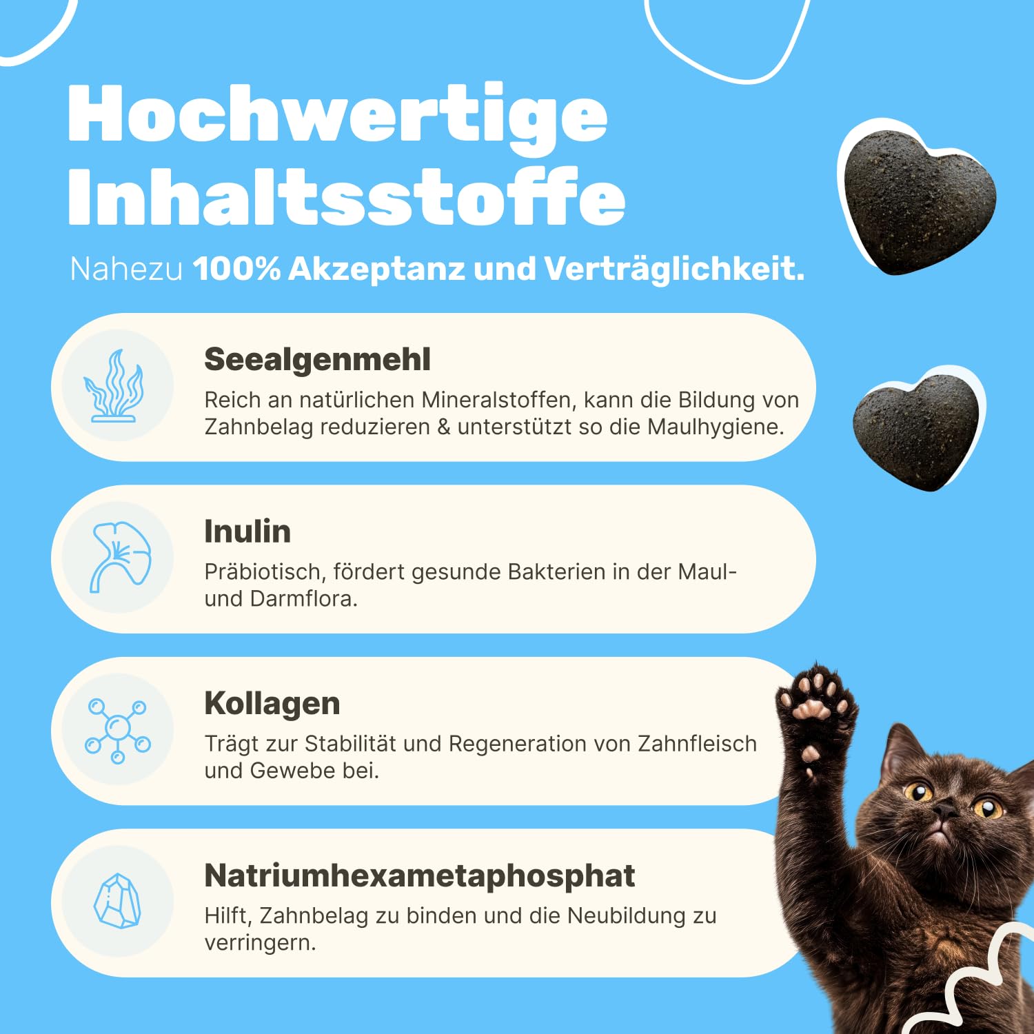 6-in-1 Zahnpflege-Snacks für Katzen | Reduziert Neubildung von Zahnstein & Maulgeruch | Unterstützt Maulhygiene | Ergänzungsfuttermittel Katze | Tierärztlich entwickelt | Patsli Smile