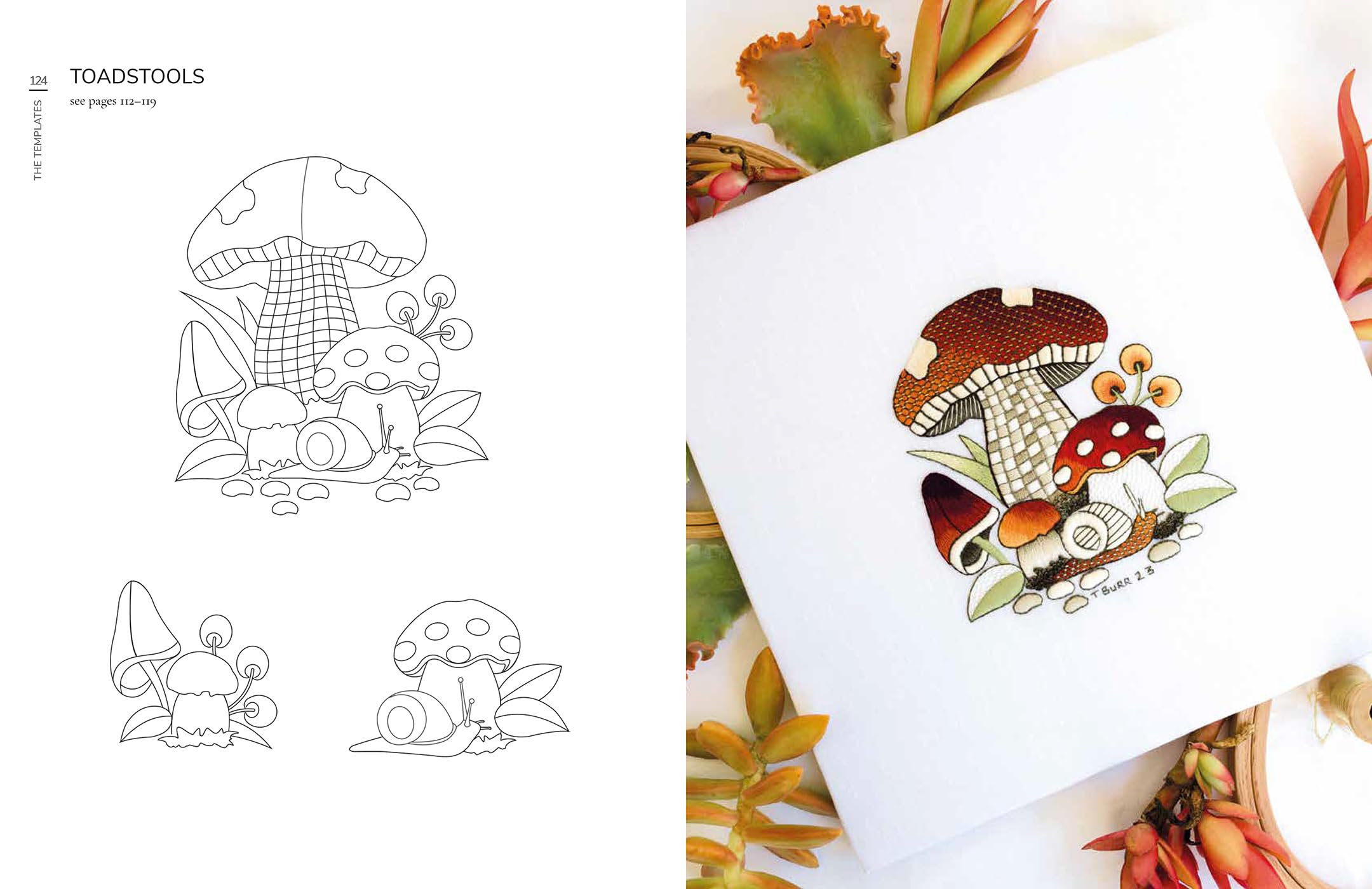 An Introduction to Whitework Embroidery with Colour: 10 Stunning Projects with Reusable Iron-On Transfers