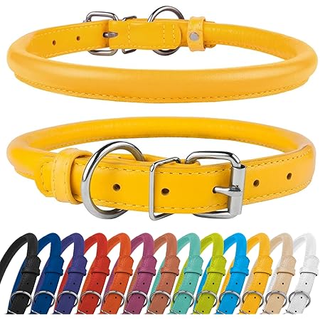 amazon rolled leather dog collar