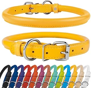 personalized leather dog collars amazon