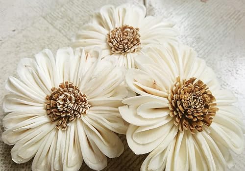 25 Girasol Artificial Sola Madera Difusor Flores 2.0 in Dia. Para Decorar Artesanía Blanco Naturaleza