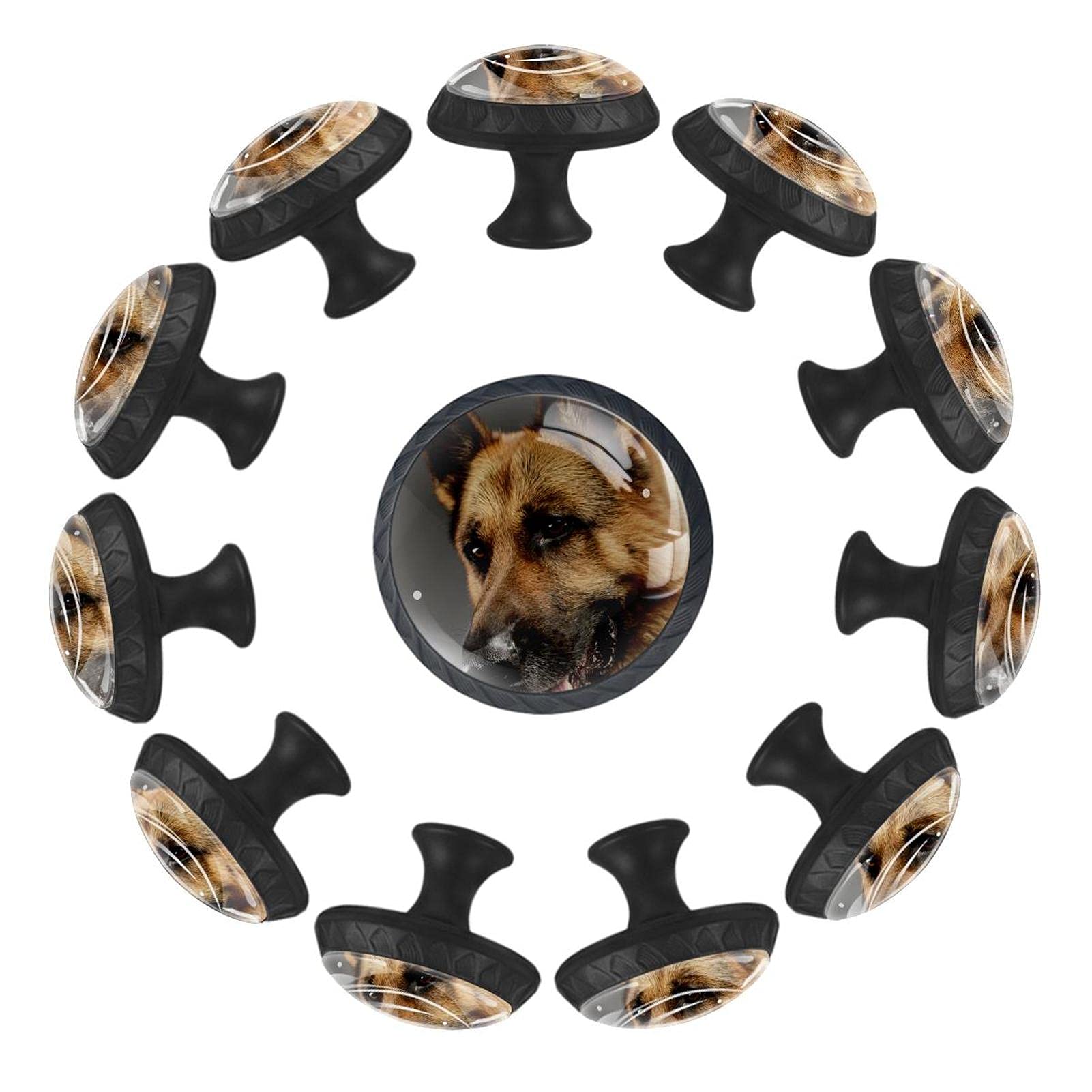 Boutons de tiroir berger allemand ronds 35 mm en lot de 12