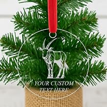 Oryx, Personalized Hanging Christmas Tree Ornament - Custom Laser Engraved Clear Acrylic Keepsake, Vacation or Remembrance Custom Text Name Xmas Holiday Decoration Gift