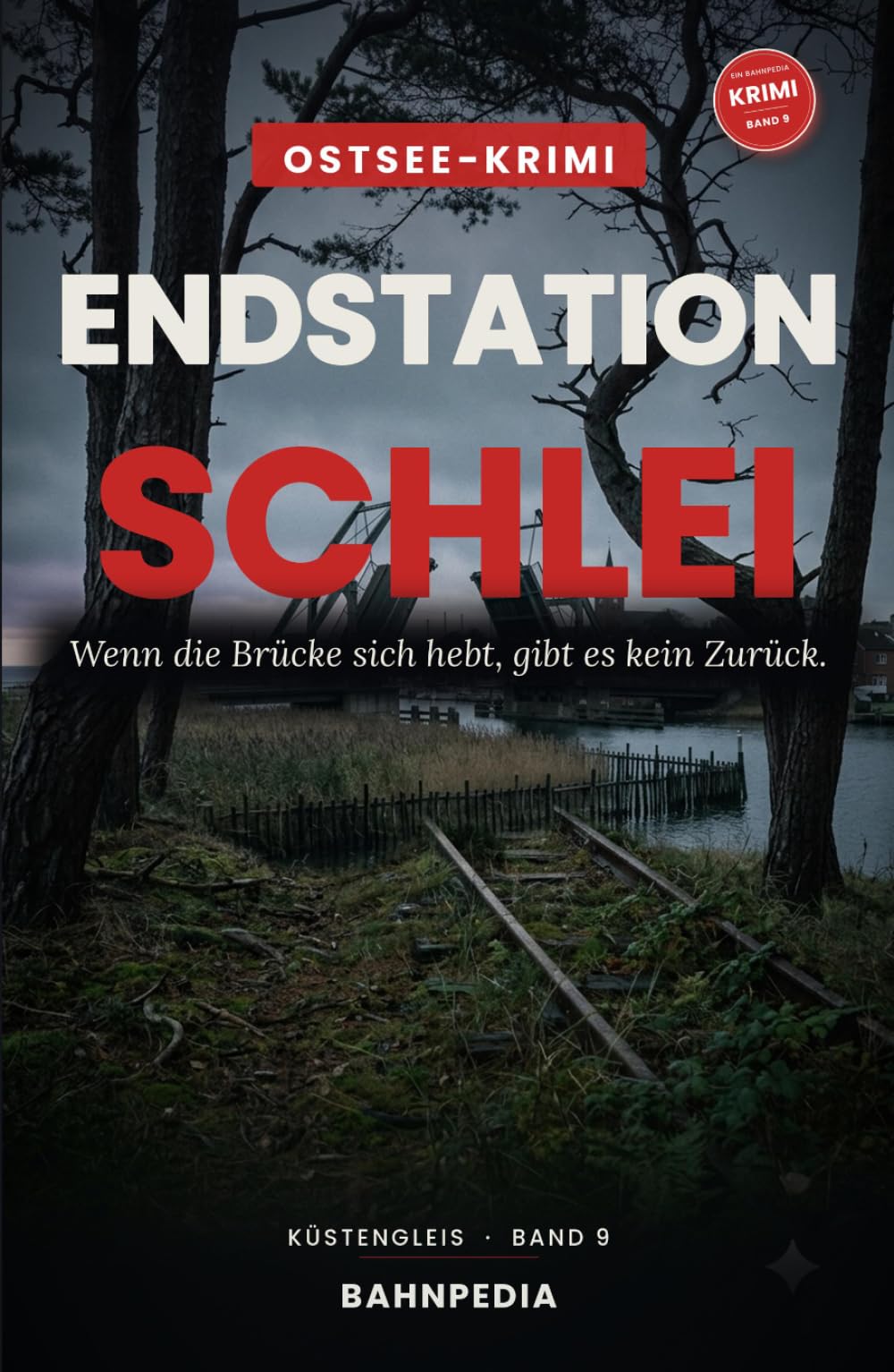 Endstation Schlei: Tod an der Klappbrücke – Ostsee-Krimi an der Schlei (Küstengleis 9) (Küstengleis Krimiserie)