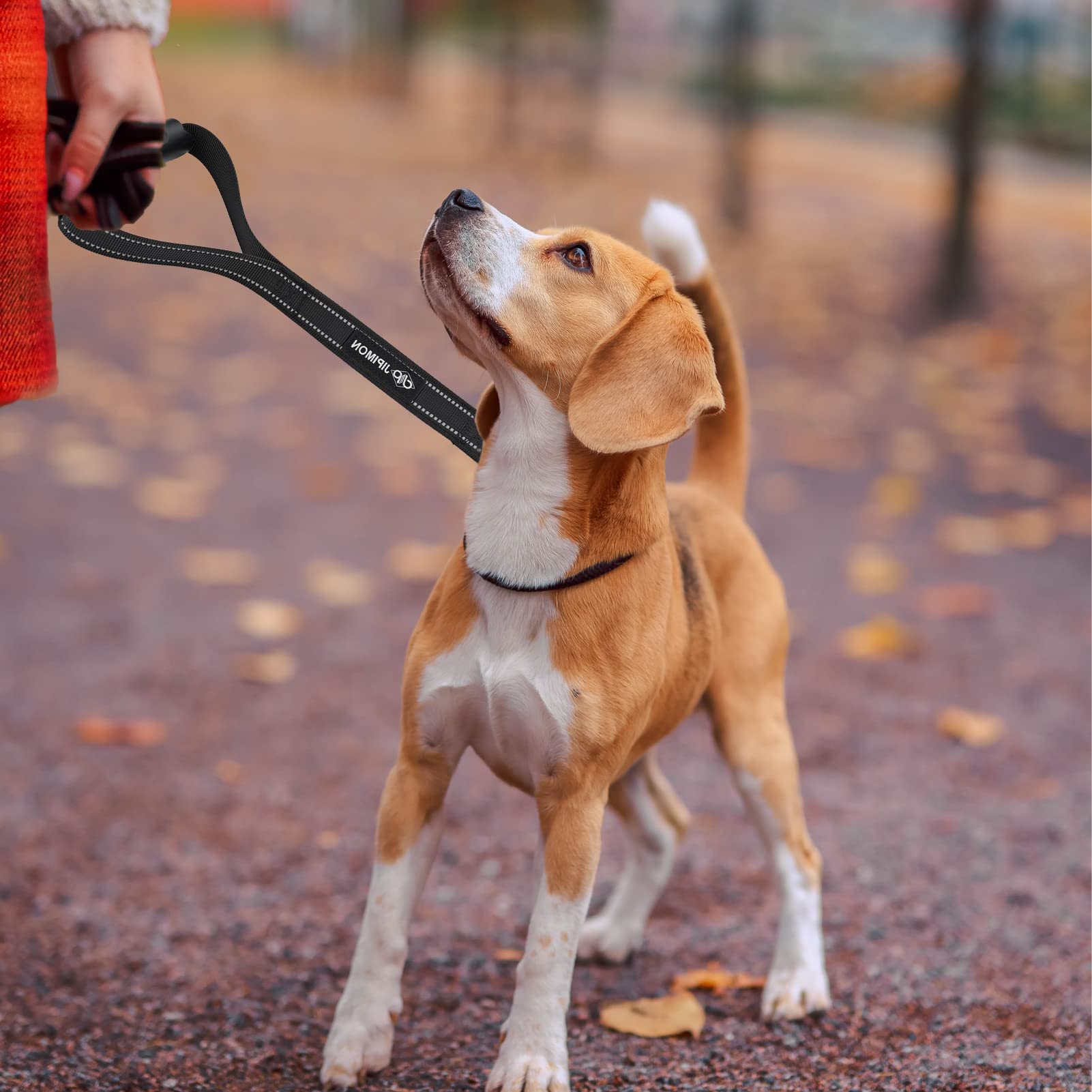 JIPIMON Short Dog Leash with Comfortable Handle Reflective Heavy Duty Short  Leash for Dog Training Control (Black) : Amazon.ca: Pet Supplies