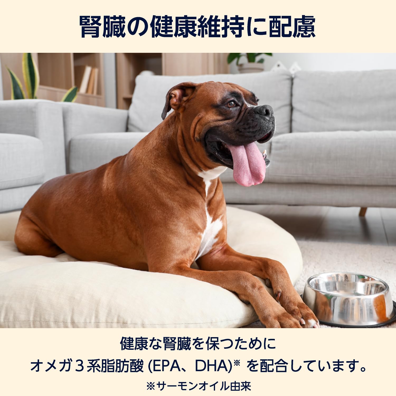 Amazon.co.jp: by Amazon 犬用食事療法食 腎臓ケア 3kg ドッグフード