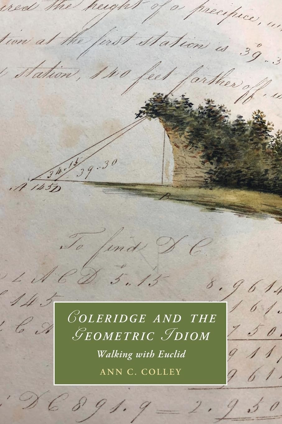 Coleridge and the Geometric Idiom: Walking with Euclid: 139 (Cambridge Studies in Romanticism, Series Number 139)