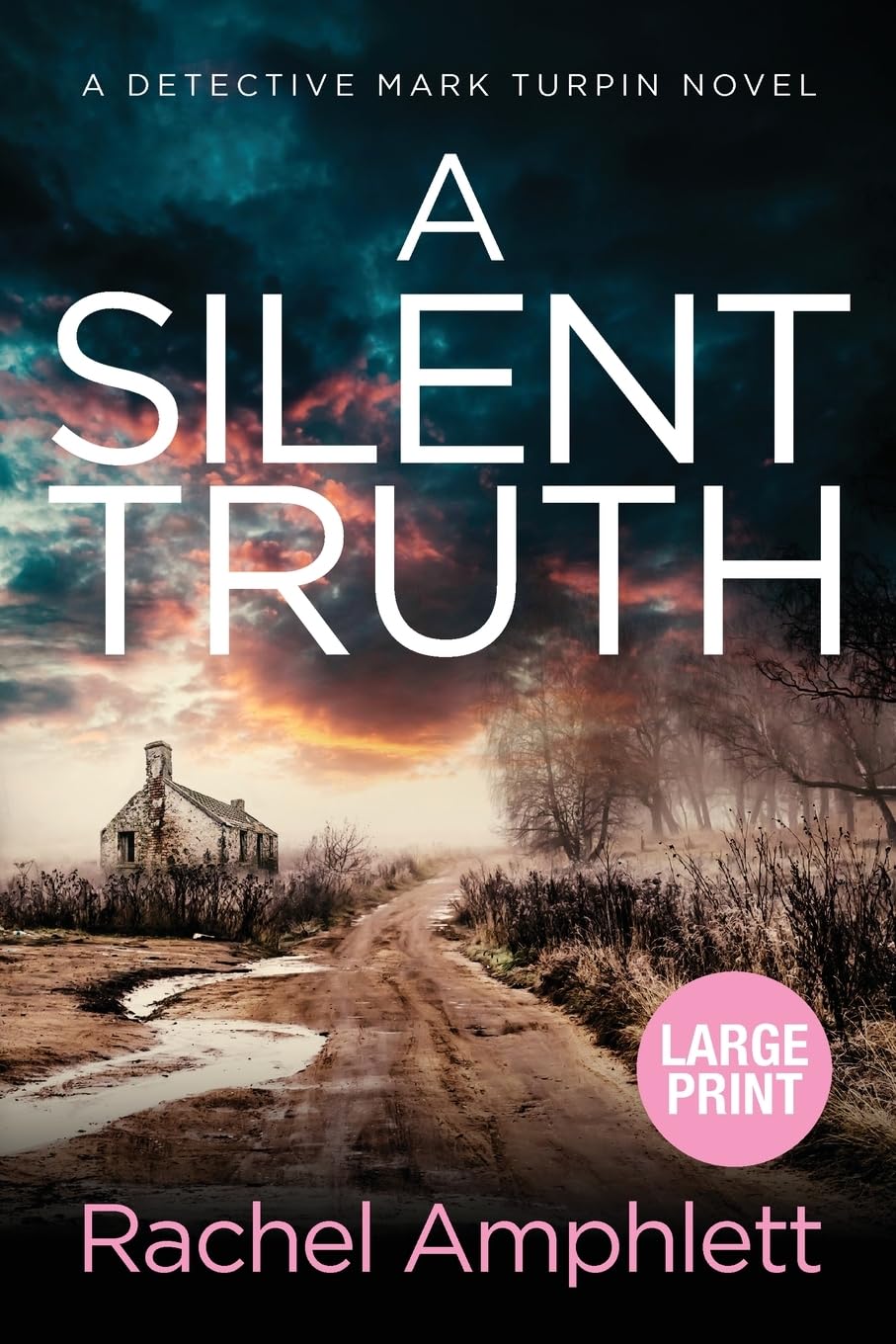 A Silent Truth: A page-turning murder mystery (Detective Mark Turpin series) (large print): A Detective Mark Turpin murder mystery: 4
