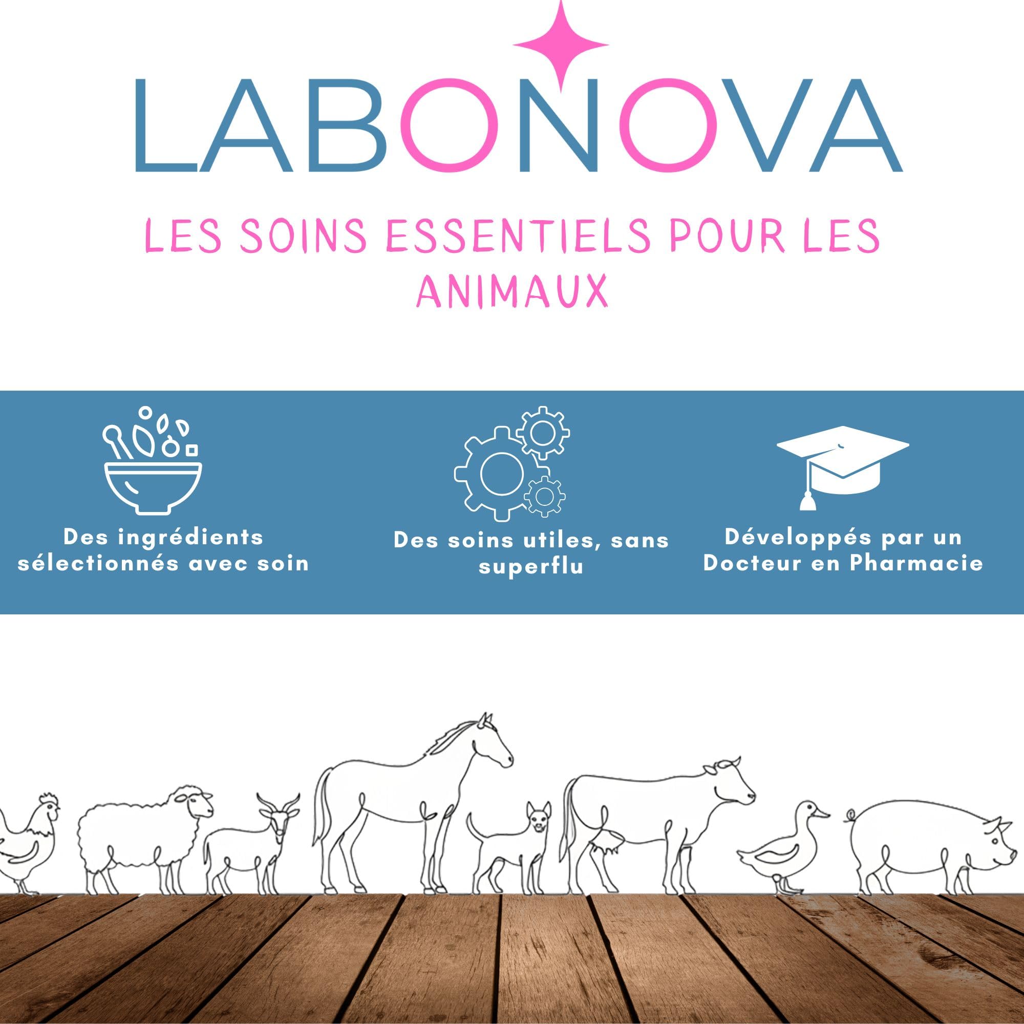 Crème Solaire minéral pour Animaux – Protection UV résistante à l’Eau – Chiens, Chats, Chevaux, Lapins et Autres Animaux