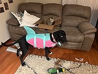 Review Image by Kathina Molina Kathina Molina