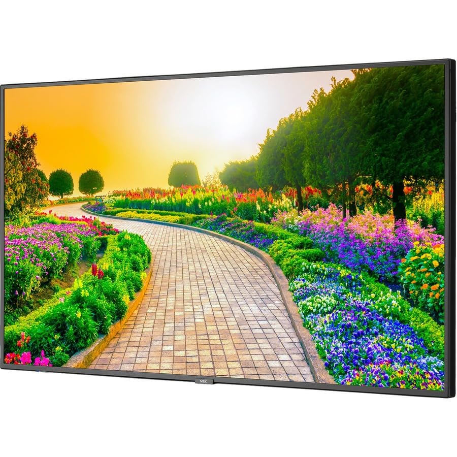 Amazon.com: NEC Display 43