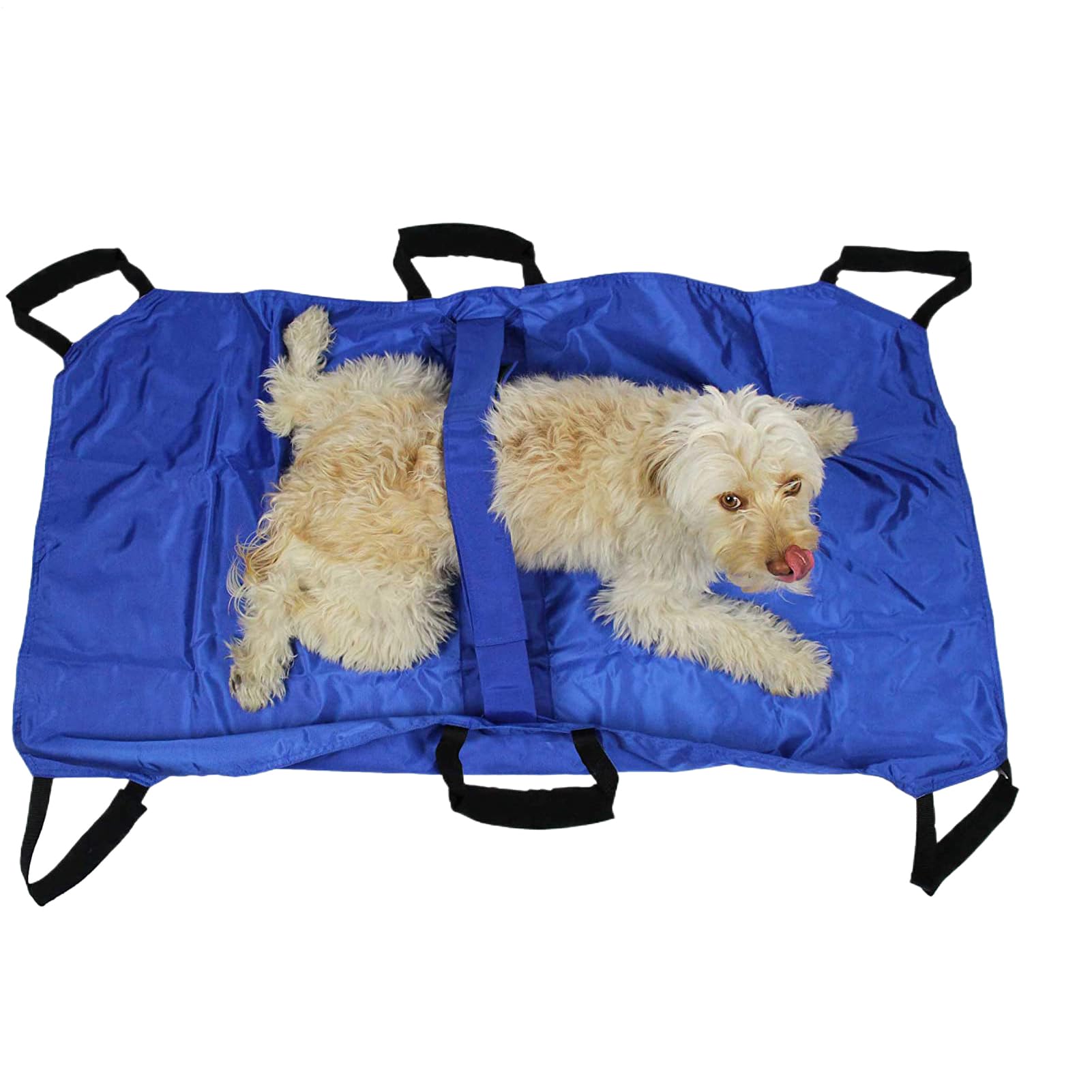Civière de Transport pour Le Chien | Brancard Porte-Animaux | Léger pour Secours Et Levage De Patients Animaux Chiots Chats Lapins