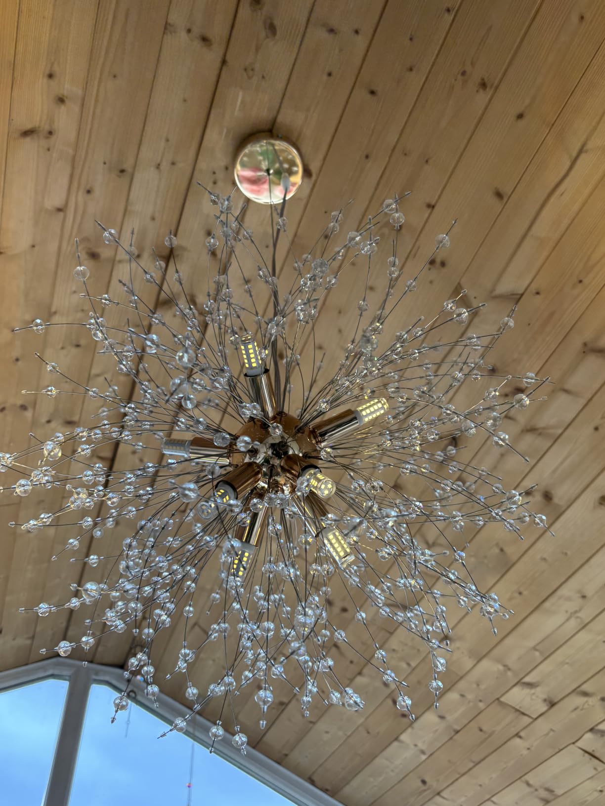 Customer photo