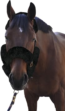 ECP Equine Comfort Products Merino Sheepskin Halter Fleece Set for Horses, 100% Natural Wool, Chafe Protection, Breathable Relief & Cushioned Comfort, Machine Washable, 9-Piece Set, Black