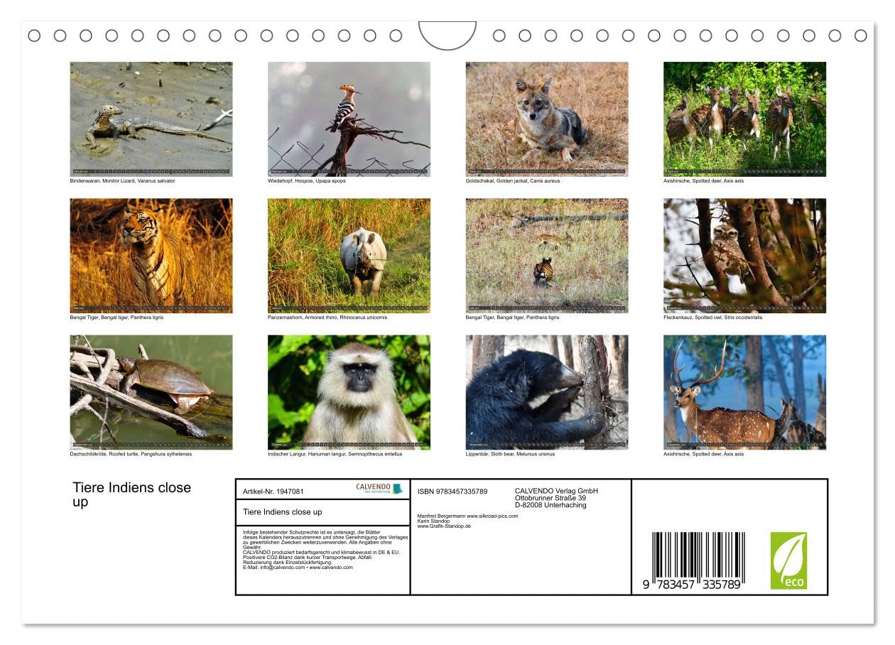Tiere Indiens close up (Wandkalender 2026 DIN A4 quer), CALVENDO Monatskalender: Auge in Auge mit Wildtieren Indiens