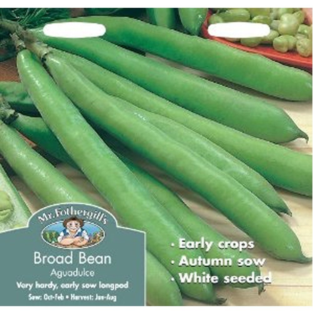 Mr Fothergill's 22397 Vegetable Seeds, Broad Bean Aguadulce