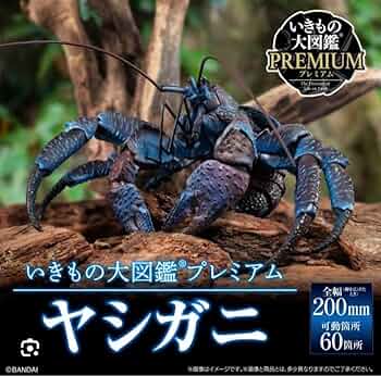 いきもの大図鑑　プレミアム　ヤシガニ 71jFFQdzmVL._UF350,350_QL50_.jpg