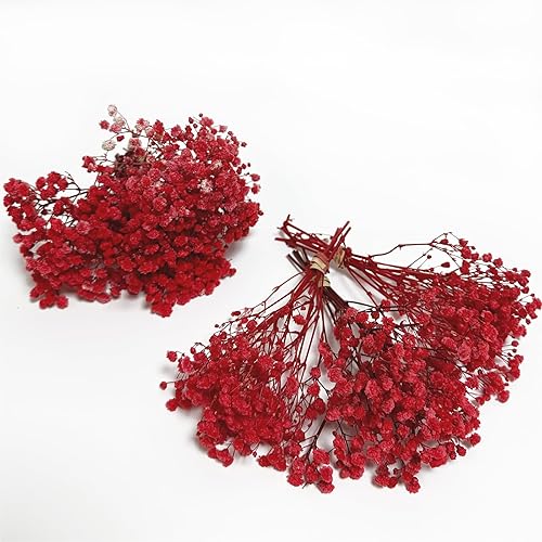 Birtlynn 6 ramos de tamaño mini preservado para bebé, gypsophila 100% natural, flores de larga duración para jarrón, decoración del hogar,