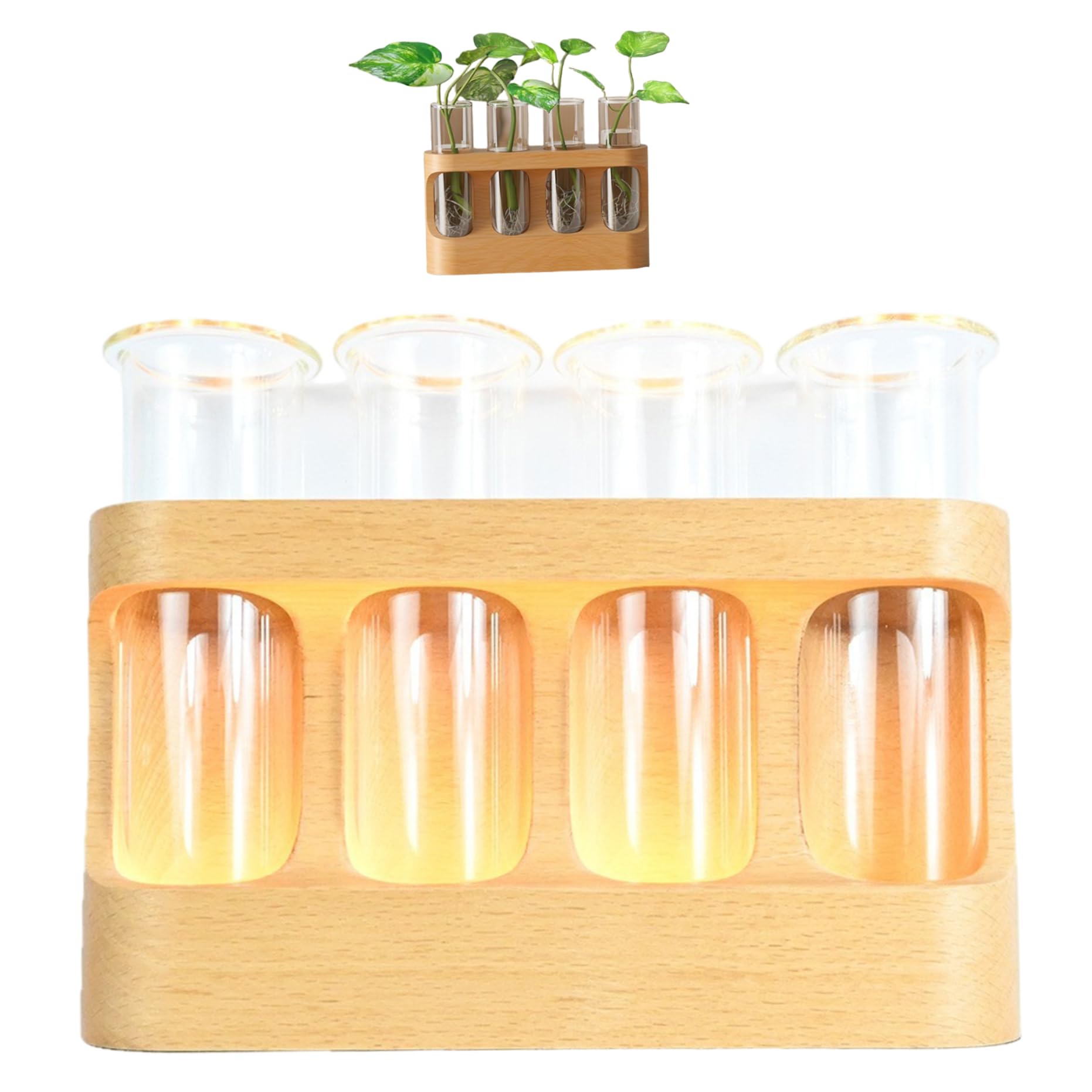 Vases de propagation avec base LED pour réussir le bouturage des plantes