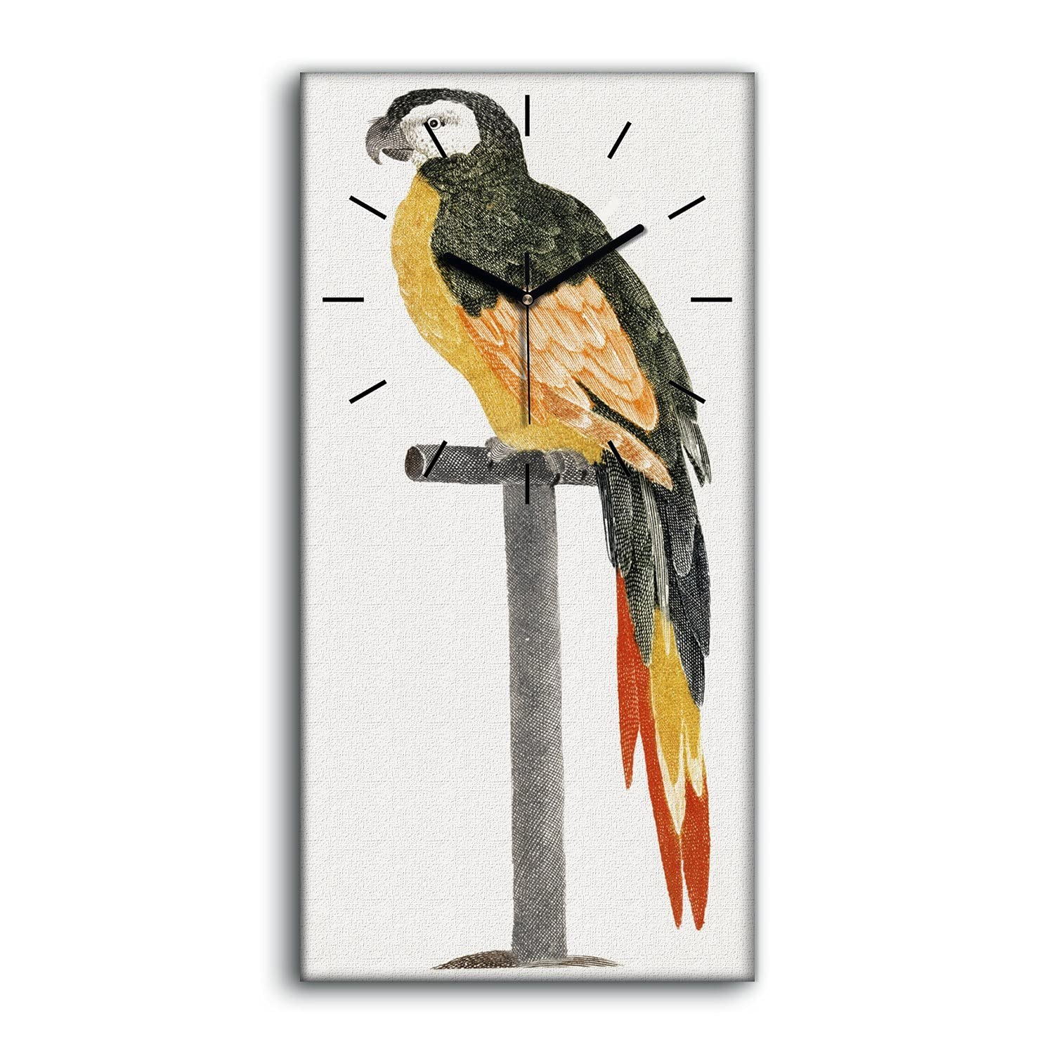 Horloge sur toile perroquet 30x60cm avec aiguilles noires Coloray