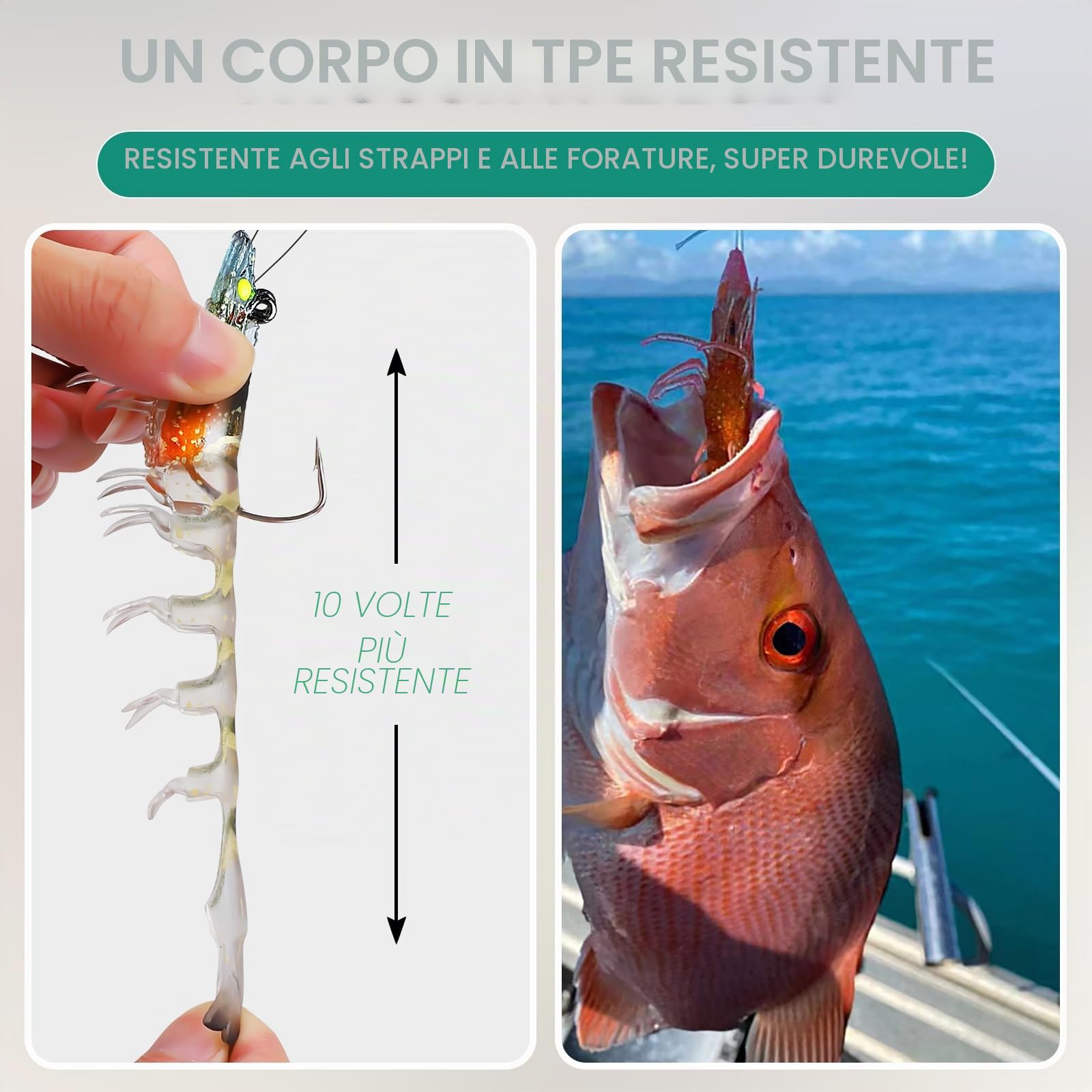 TRUSCEND Esche Artificiali Da Pesca Pre-Innescate Per Acqua Dolce E Salata, Esca Innovative Super Resistenti In TPE Per Spigole E Trote, Esche Artificiale Simili A Gamberi, Da Tenere Separatamente