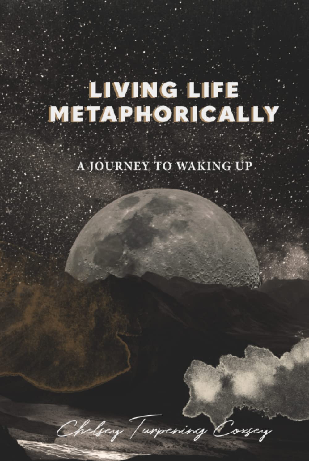 Living Life Metaphorically, a journey to waking up      Hardcover – January 13, 2023