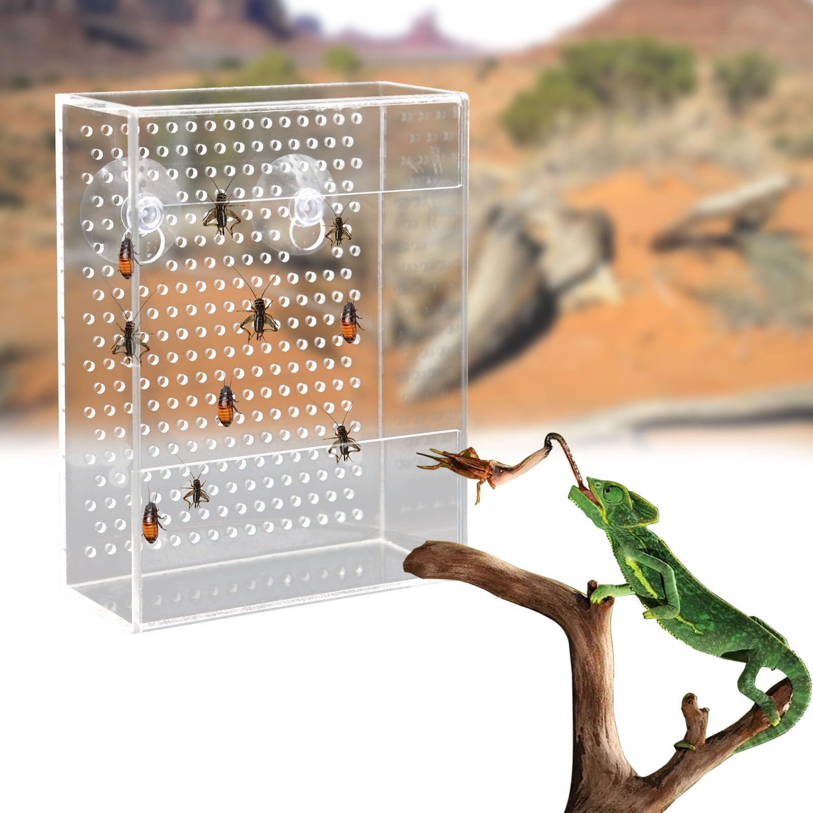 Transparent Acrylic Reptile Feeder Box, Wall-Mounted Insect Feeder with Suction Cups - Image 4