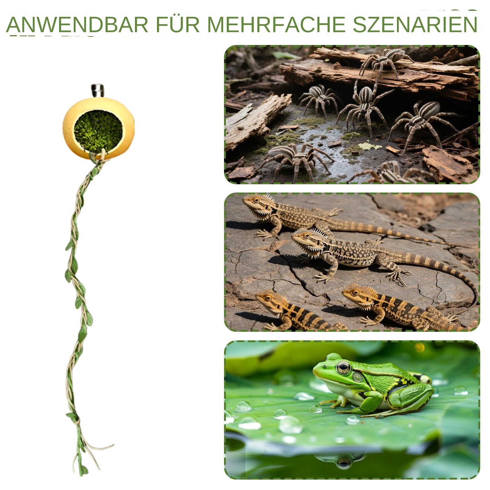 Akcesoria do terrarium dla skakunów Dekoracje kryjówek i schronień | Legowisko Skakunów Akcesoria kryjówki małych gadów, stawonogów,