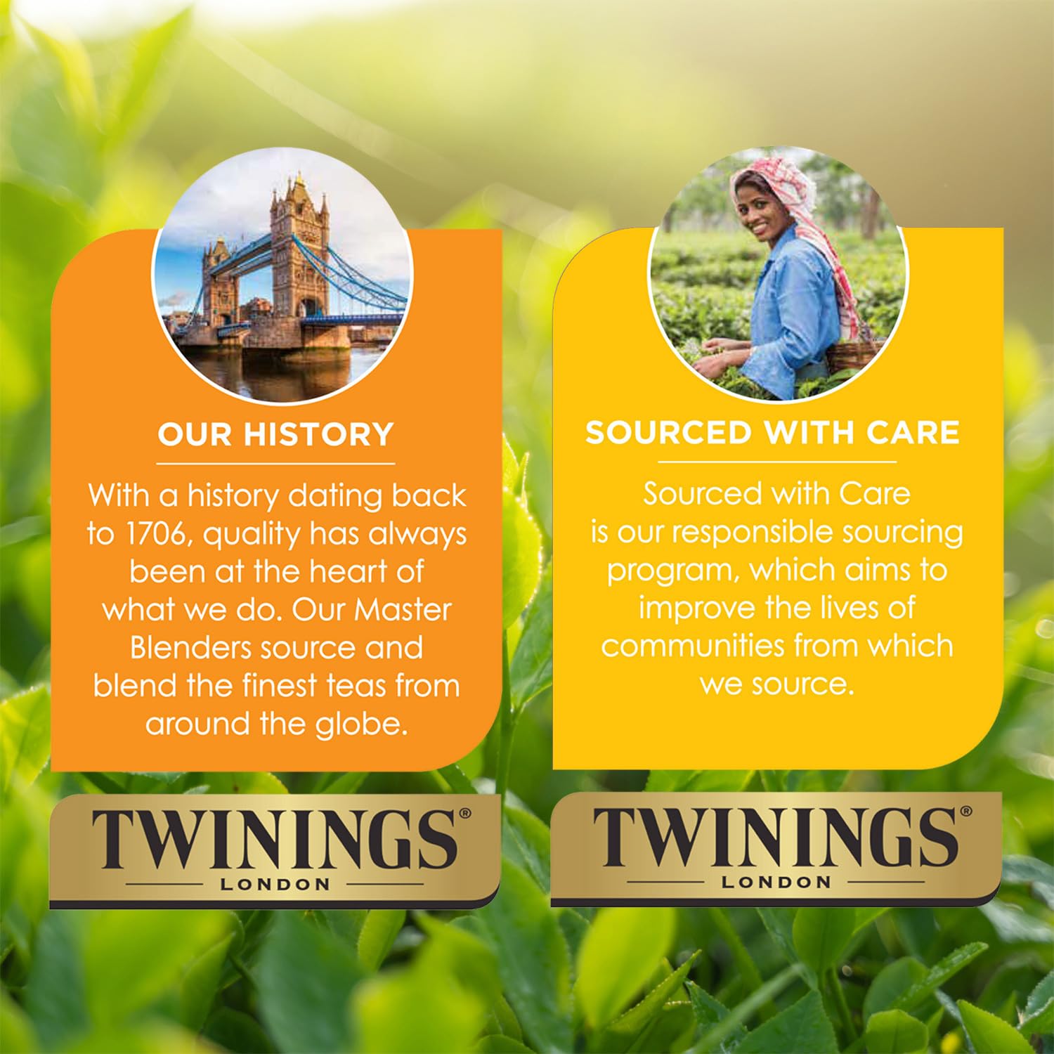 Twinings Pure Rooibos Red Tea