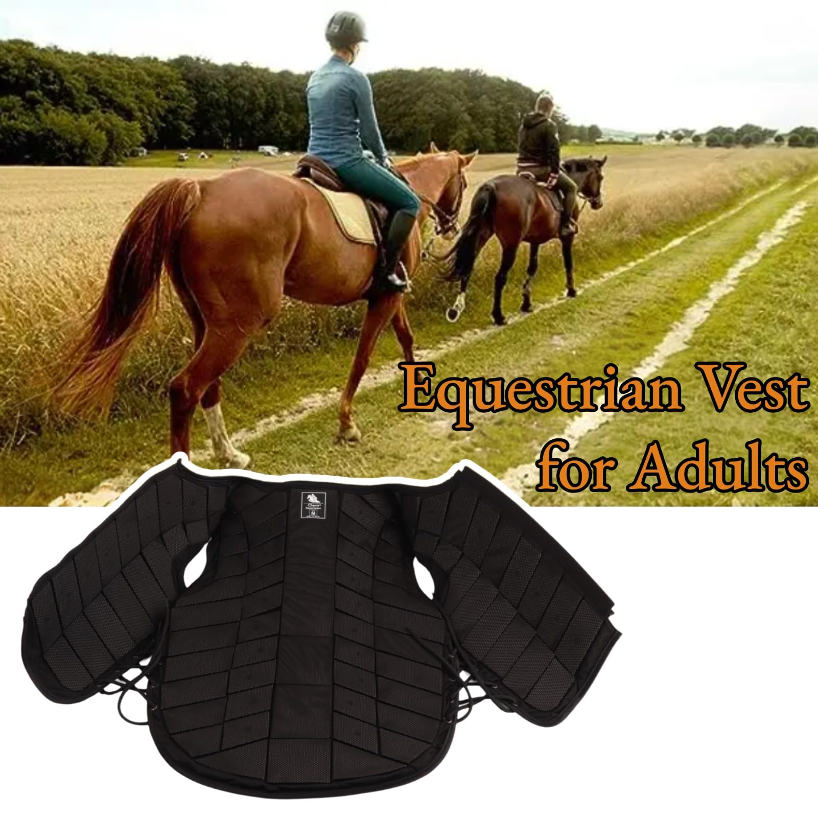 Reitweste Schutzweste für Erwachsene mit Reitschutz und Körperschutz für Sicherheit beim Reiten Horse Riding Vest Protective Riding Vest Équipement de Protection