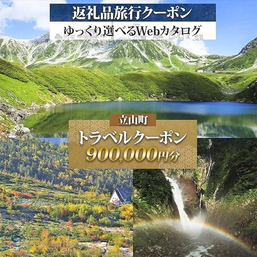 富山県 立山町 旅行クーポン 900,000 円分 F6T-966