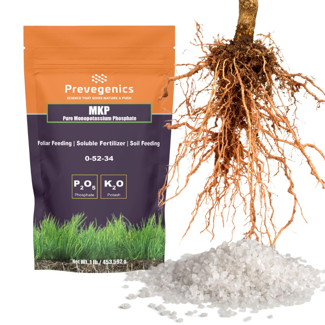 Monopotassium Phoshpate (MKP) Fertilizer | Highly Water Soluble | 0-52-34 (1 Pound)